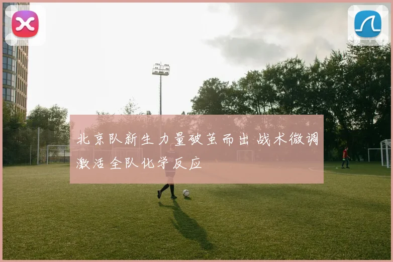 北京队新生力量破茧而出 战术微调激活全队化学反应