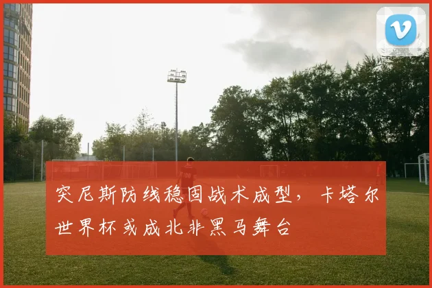 突尼斯防线稳固战术成型，卡塔尔世界杯或成北非黑马舞台