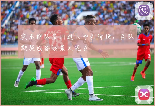 突尼斯队集训进入冲刺阶段，团队默契成备战最大亮点