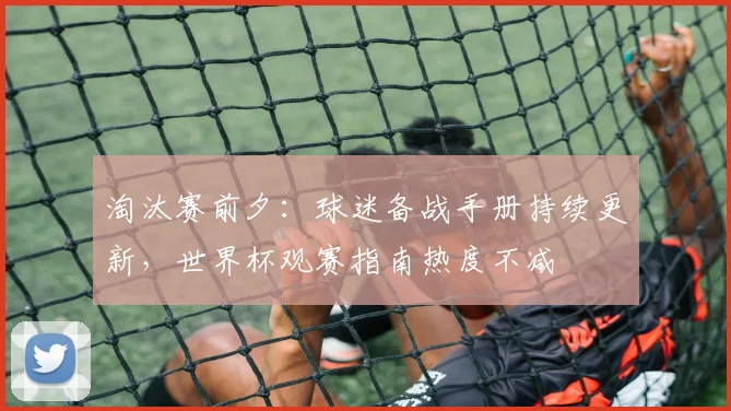淘汰赛前夕：球迷备战手册持续更新，世界杯观赛指南热度不减
