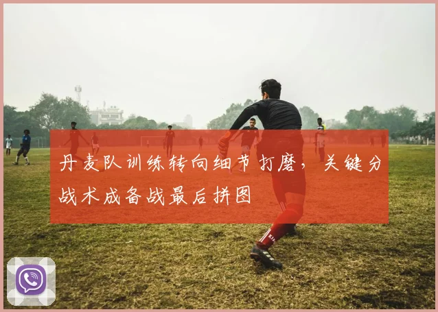 丹麦队训练转向细节打磨，关键分战术成备战最后拼图
